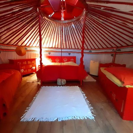 B&B L'Albatros Fayence Zewnętrze zdjęcie