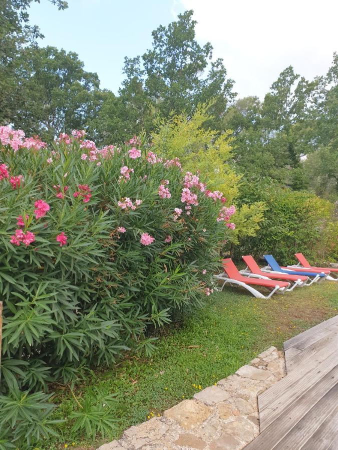 B&B L'Albatros Fayence Zewnętrze zdjęcie